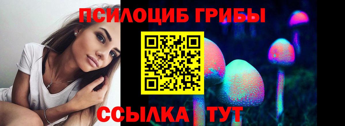 Сальск  Галлюциногенные грибы мухоморы  Псилоцибиновые грибы Cubensis  Вход с VPN 